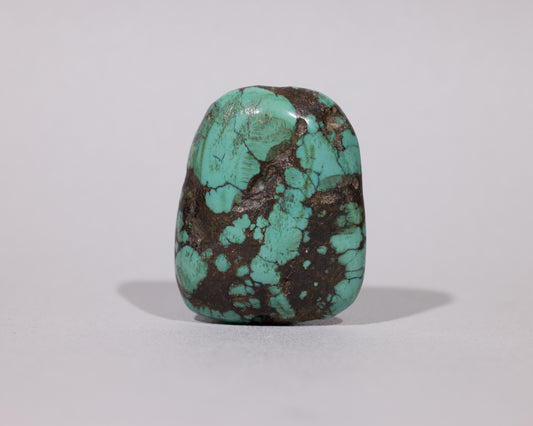 Tibetan Turquoise Healing Jewelry - Land - #418