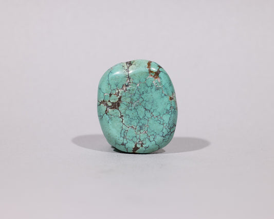 Genuine Tibetan Turquoise Stone - Dharmachakra - #458