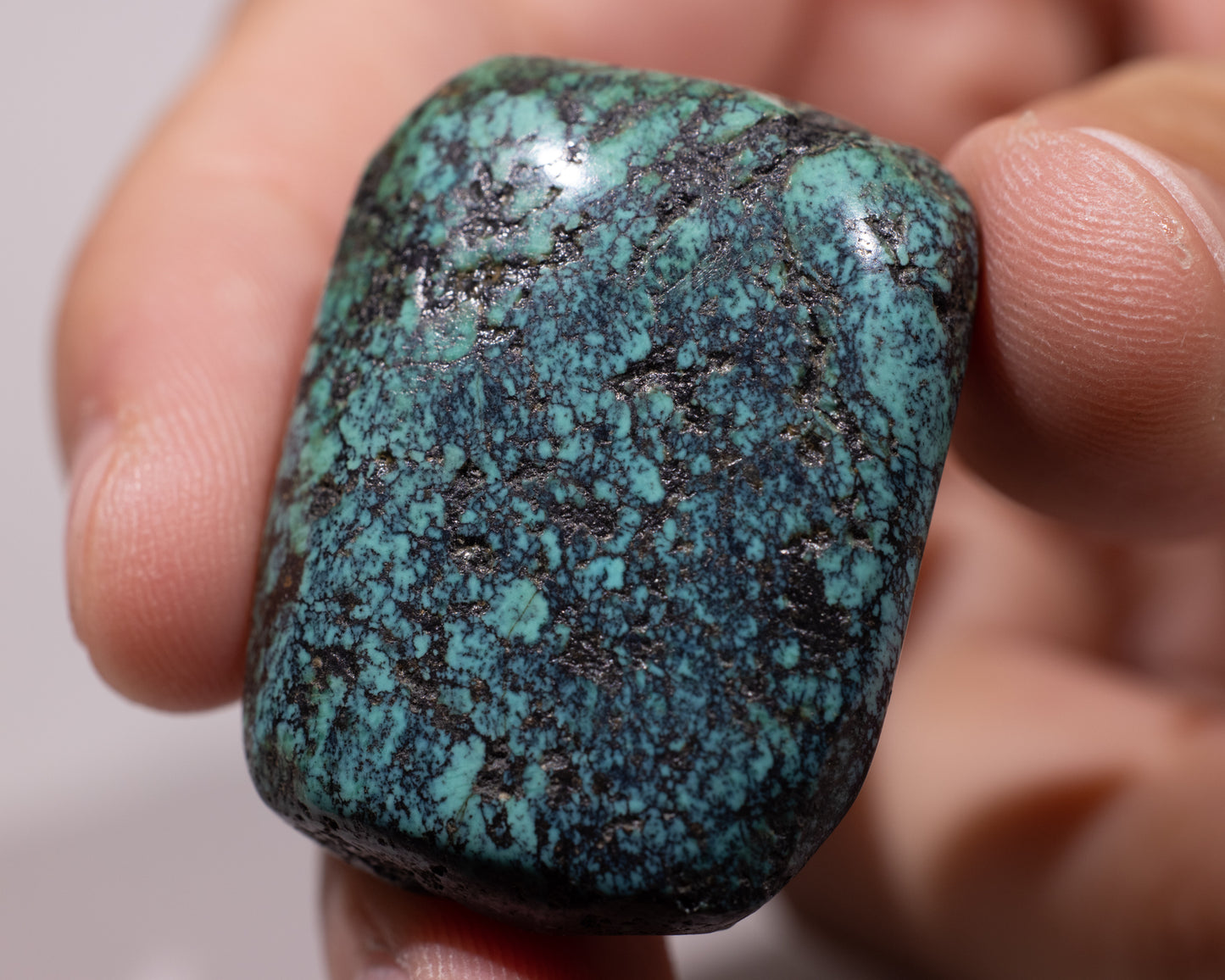 Rare Tibetan Turquoise Gem - Dawa -#467