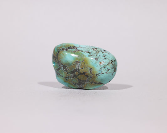 Tibetan Turquoise Gem - Jampa - #475