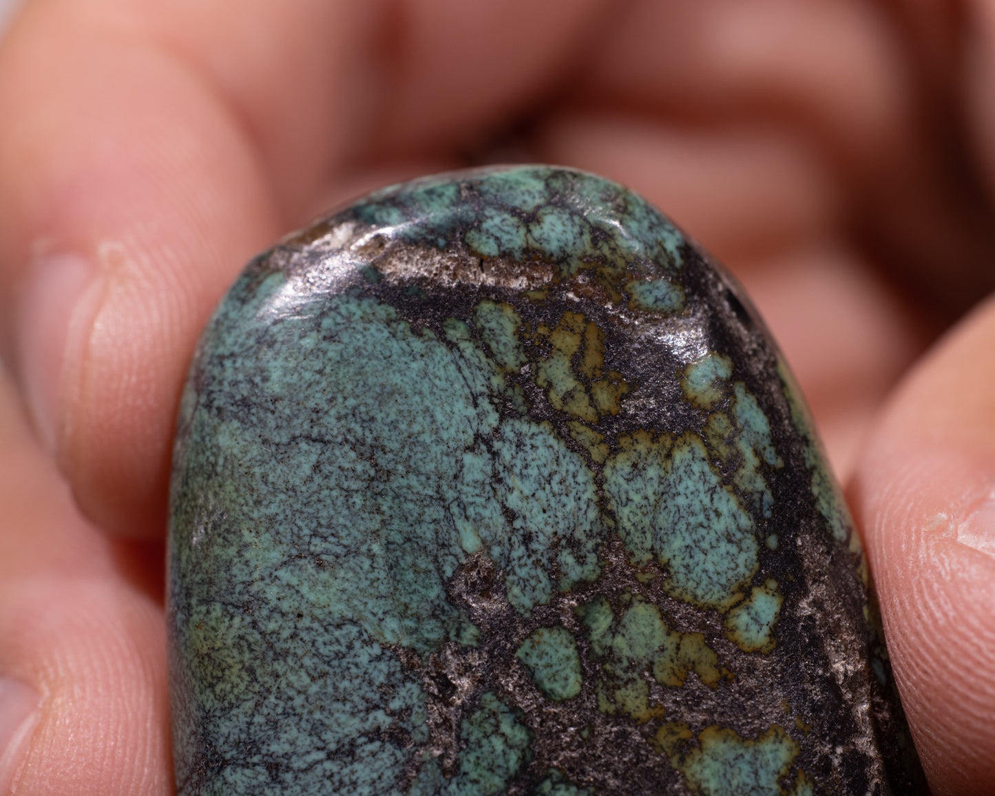 Exclusive Tibetan Turquoise Gem - Chuyang - #490