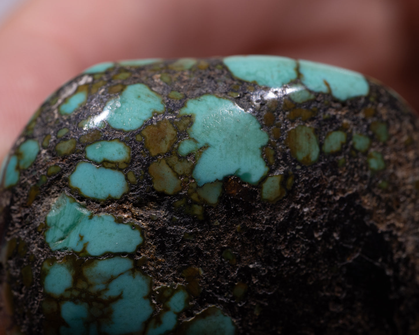 Tibetan Turquoise Stone - Elysium - #493