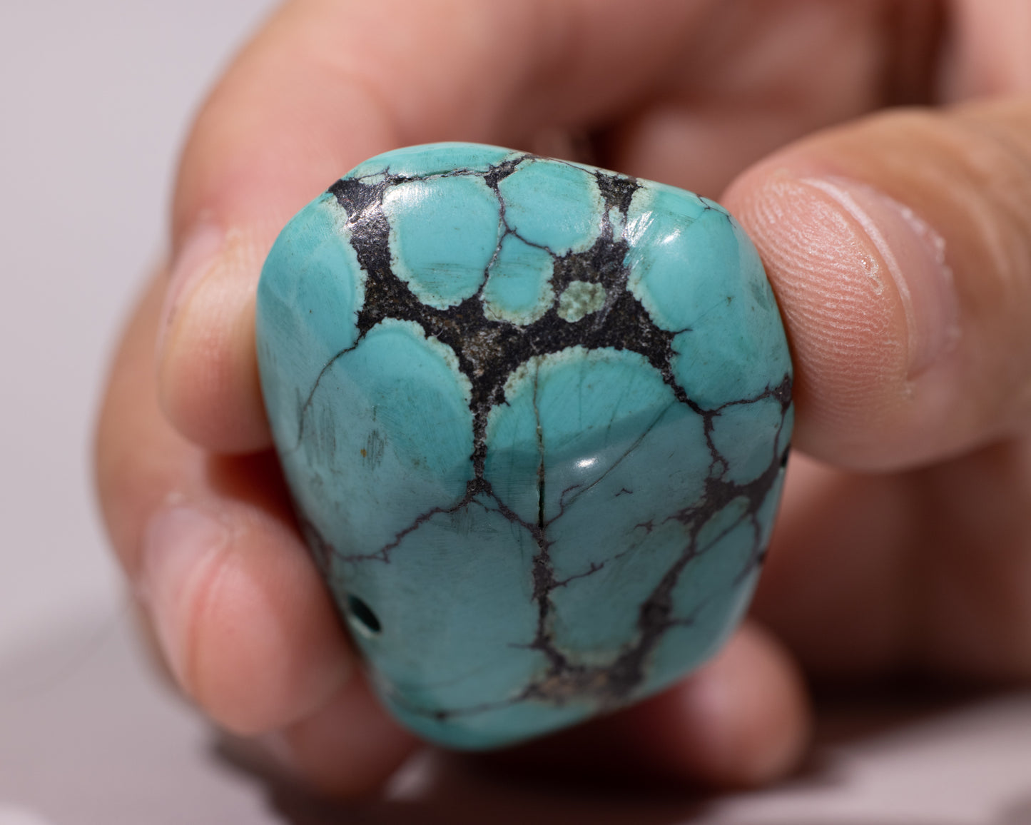 Genuine Tibetan Turquoise Gem - Aegis - #496