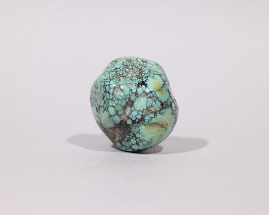 Tibetan Turquoise Stone -  Healing Properties - Snow Lion - #498