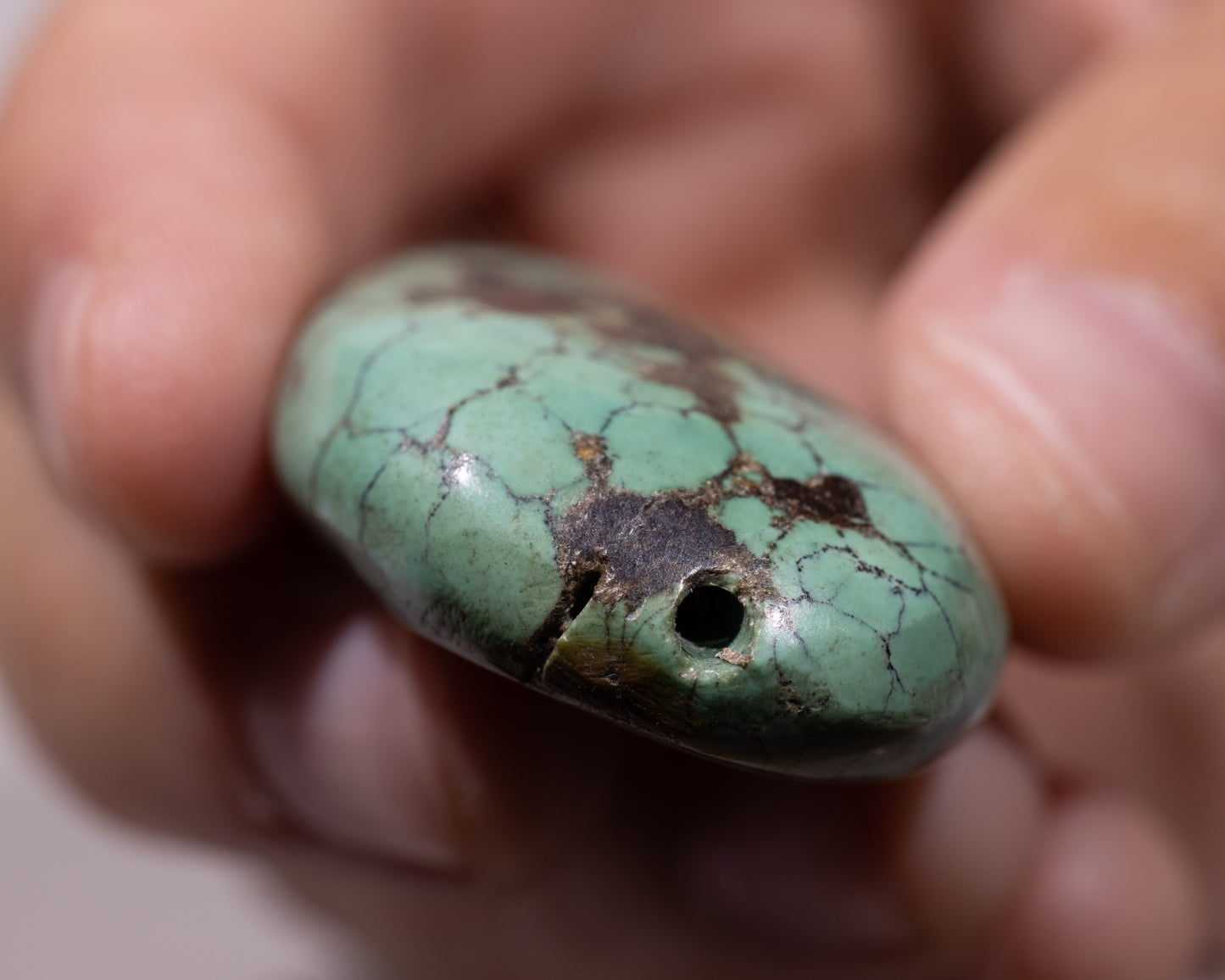 Tibetan Turquoise Stone - Lungta - #502