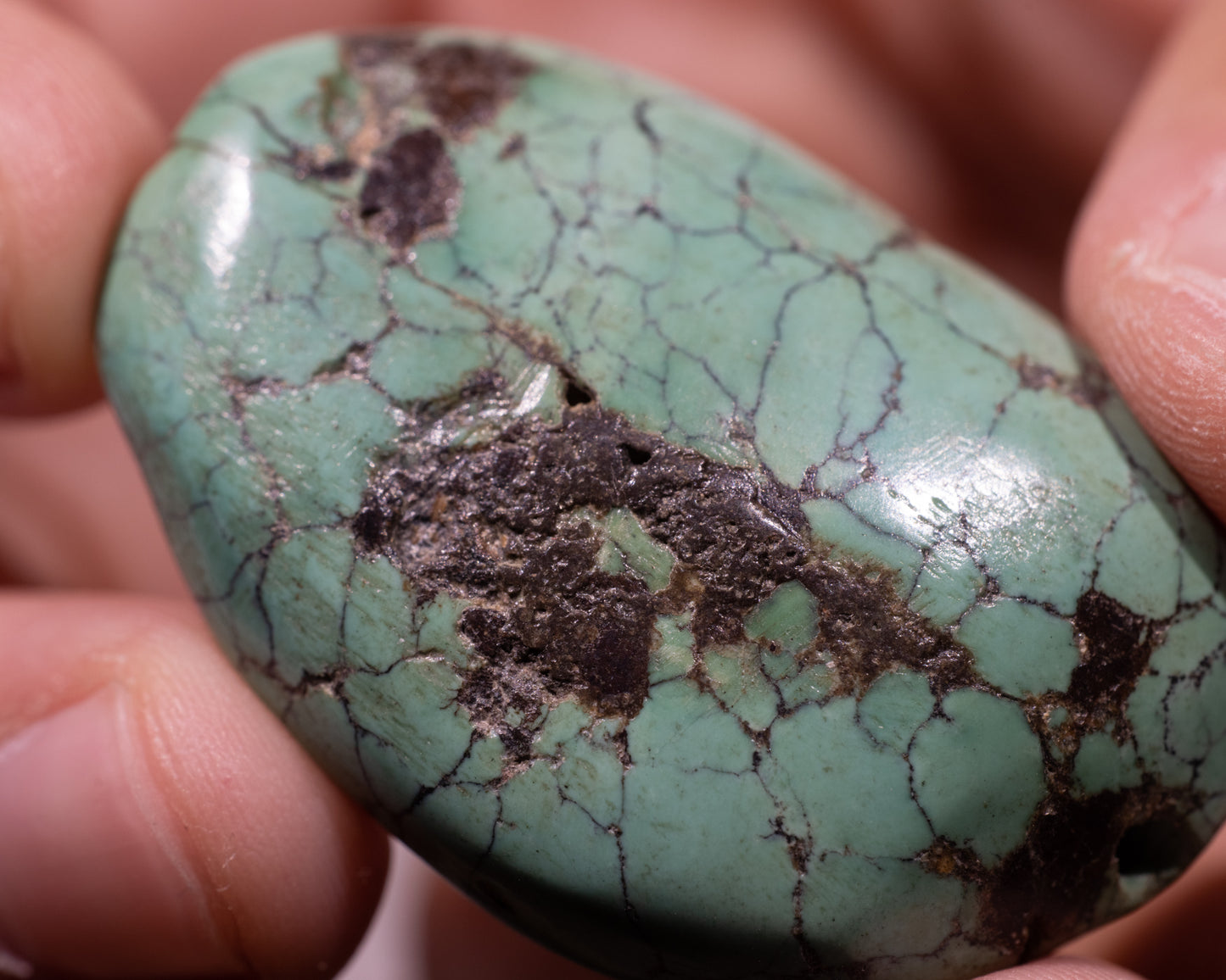 Tibetan Turquoise Stone - Lungta - #502