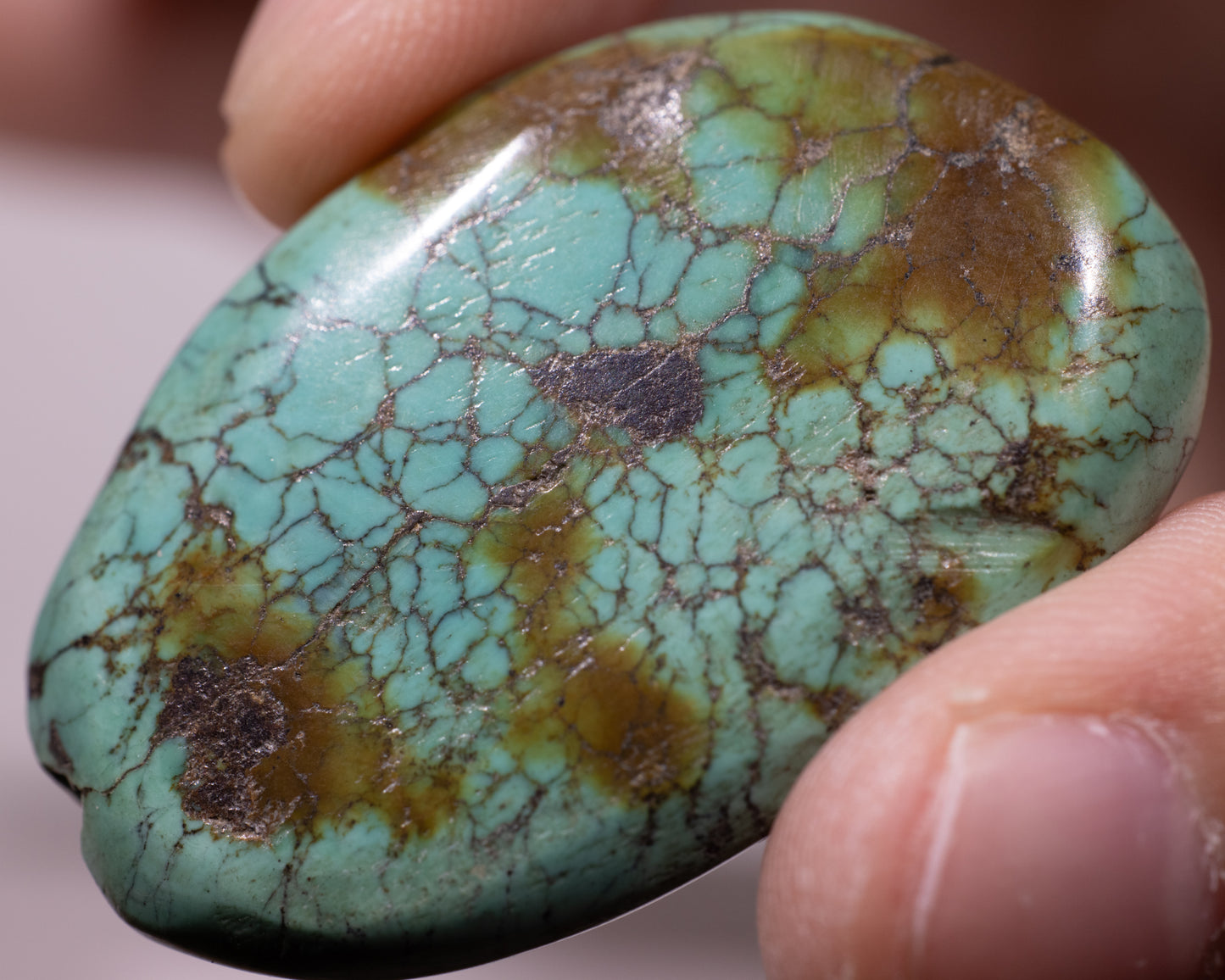 Tibetan Turquoise Stone - Lungta - #502