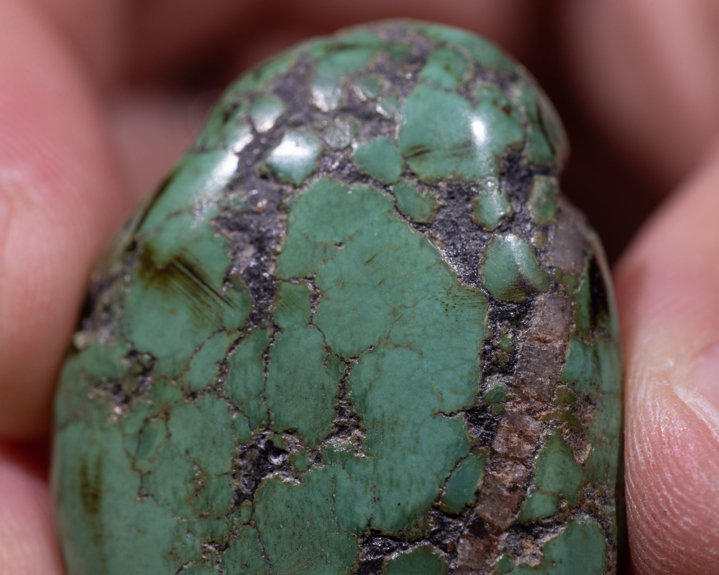 Tibetan Turquoise Stone -  Healing Properties - Siddhi - #503