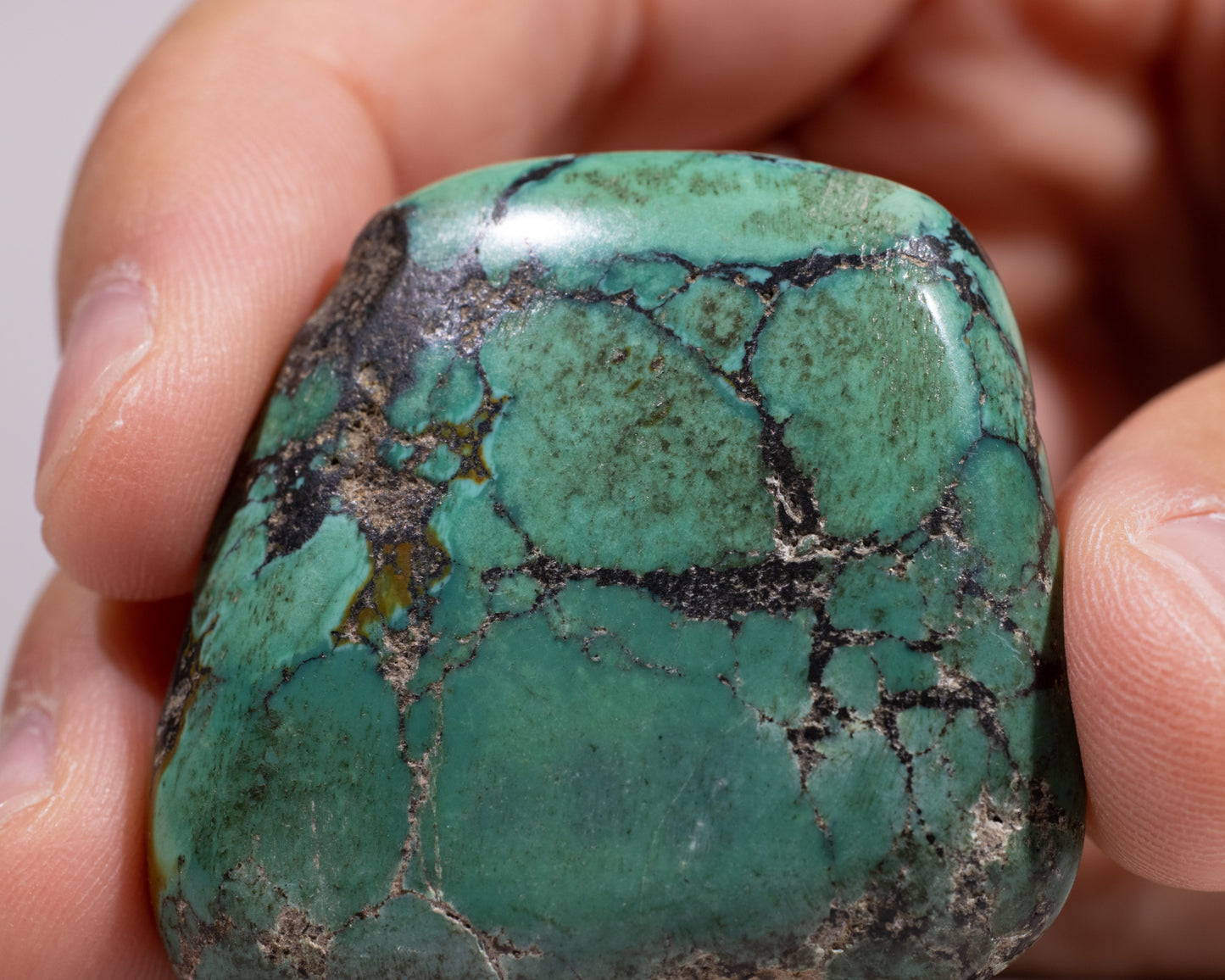 Authentic Tibetan Turquoise Stone - #561