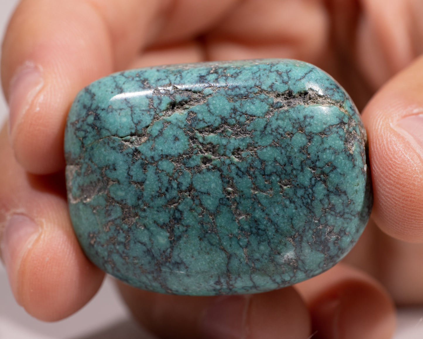 Authentic Tibetan Turquoise Stone - #570