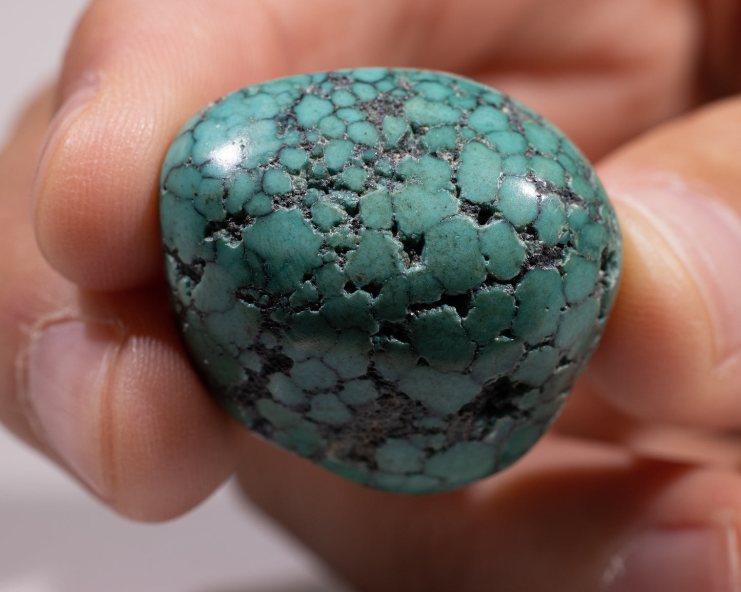 Authentic Tibetan Turquoise Stone - #662